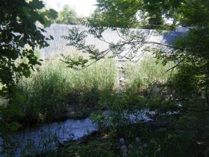 <img300*0:stuff/aj/25313/1244504498.jpg>