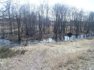 <img300*0:stuff/aj/25313/1244504722.jpg>
