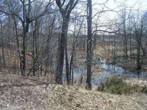 <img300*0:stuff/aj/25313/1244504747.jpg>