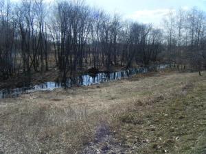 <img300*0:stuff/aj/25313/1244504761.jpg>