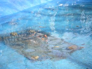 <img300*0:stuff/aj/25313/1244518158.jpg>
