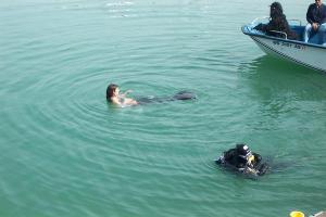 <img300*0:stuff/aj/25313/1244671864.jpg>