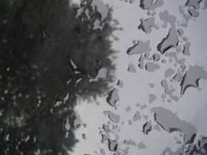 <img300*0:stuff/aj/25313/1245333557.jpg>
