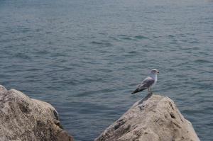 <img300*0:stuff/aj/25313/1246044493.jpg>