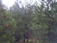 <img200*0:stuff/aj/25313/1268748069.jpg>
