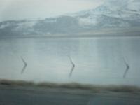 <img200*0:stuff/aj/25313/1268752405.jpg>