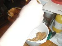 <img200*0:stuff/aj/25313/1268834880.jpg>