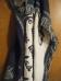 <img56*0:stuff/aj/25313/F3-4.jpg>