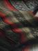<img56*0:stuff/aj/25313/f1-e.jpg>