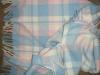 <img100*0:stuff/aj/25313/f13-c.jpg>