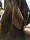 <img100*0:stuff/aj/25313/f16-e.jpg>