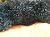 <img100*0:stuff/aj/25313/f17-d.jpg>