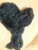 <img56*0:stuff/aj/25313/f17-e.jpg>
