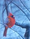 <img100*0:stuff/aj/27071/1312675330.jpg>