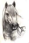 <img100*0:stuff/aj/27071/1312675354.jpg>