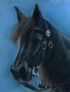 <img100*0:stuff/aj/27071/1312675495.jpg>