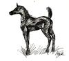 <img100*0:stuff/aj/27071/1312675638.jpg>