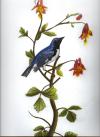 <img100*0:stuff/aj/27071/1312675659.jpg>