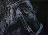 <img100*0:stuff/aj/27071/1312675688.jpg>