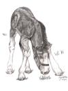 <img100*0:stuff/aj/27071/1312675780.jpg>