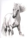 <img100*0:stuff/aj/27071/1312675824.jpg>