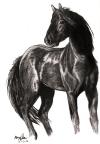 <img100*0:stuff/aj/27071/1312675849.jpg>