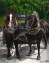 <img100*0:stuff/aj/27071/1312675882.jpg>