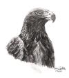 <img100*0:stuff/aj/27071/1312675934.jpg>