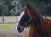 <img100*0:stuff/aj/27071/1312676012.jpg>