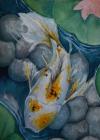 <img100*0:stuff/aj/27071/1312676078.jpg>