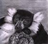 <img100*0:stuff/aj/27071/1312676103.jpg>