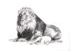 <img100*0:stuff/aj/27071/1312676121.jpg>