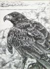 <img100*0:stuff/aj/27071/1312676156.jpg>