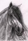 <img100*0:stuff/aj/27071/1312676256.jpg>
