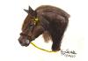 <img100*0:stuff/aj/27071/1312676280.jpg>