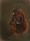 <img100*0:stuff/aj/27071/1312676301.jpg>