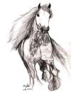 <img100*0:stuff/aj/27071/1312676329.jpg>