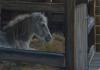 <img100*0:stuff/aj/27071/1312676361.jpg>