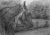 <img100*0:stuff/aj/27071/1312676392.jpg>