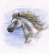 <img100*0:stuff/aj/27071/1312677738.jpg>