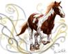 <img100*0:stuff/aj/27071/1312677904.jpg>