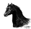 <img100*0:stuff/aj/27071/1312678121.jpg>