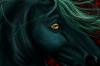 <img100*0:stuff/aj/27071/1312678213.jpg>