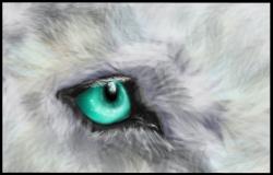 <img250*0:stuff/aj/27071/1312679330.jpg>