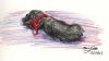 <img100*0:stuff/aj/27071/1312680709.jpg>