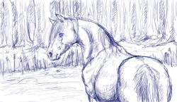 <img250*0:stuff/aj/27071/1312680947.jpg>