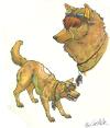<img100*0:stuff/aj/27071/1312681036.jpg>