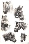 <img100*0:stuff/aj/27071/1312681072.jpg>