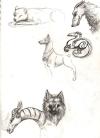 <img100*0:stuff/aj/27071/1312681128.jpg>