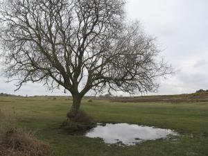 <img300*0:stuff/aj/30758/1255332567.jpg>